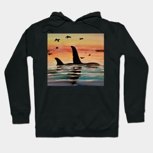 Orca Sunset Hoodie